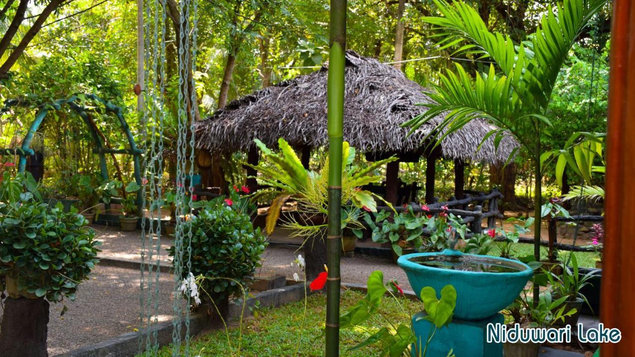 Niduwari Lake Homestay Dambulla Buitenkant foto