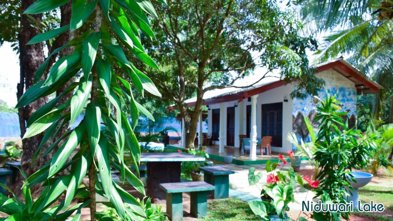 Niduwari Lake Homestay Dambulla Buitenkant foto