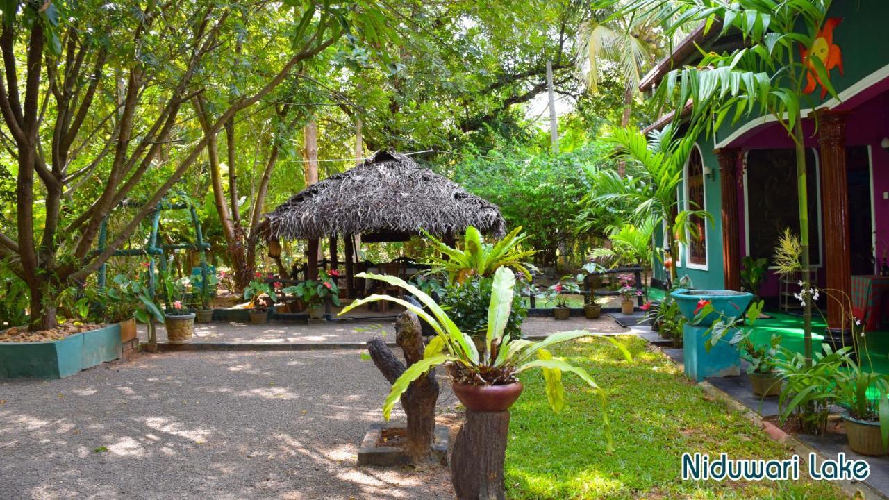 Niduwari Lake Homestay Dambulla Buitenkant foto