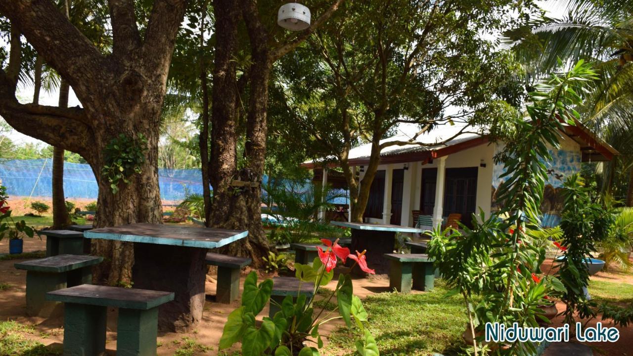 Niduwari Lake Homestay Dambulla Buitenkant foto